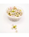 copy of 
